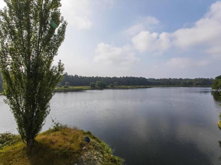 Quinta Da Barca House - Nada Melhor Que Juntar Luxo A Lazer Com Mar E Rio! Esposende Kültér fotó